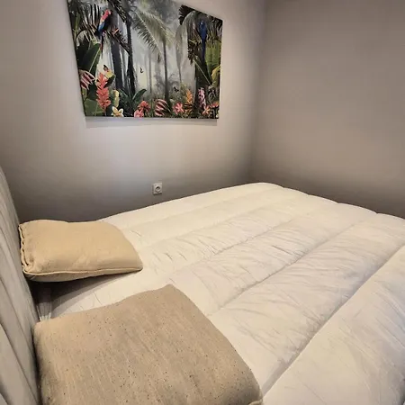 Le Lucasium - Tres Au Calme Pour Ce Joli T1bis ! Mae-0021 Appartement *